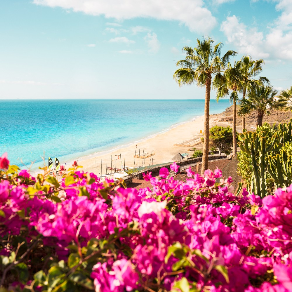 esquinzo-playa-resort-fuerteventura