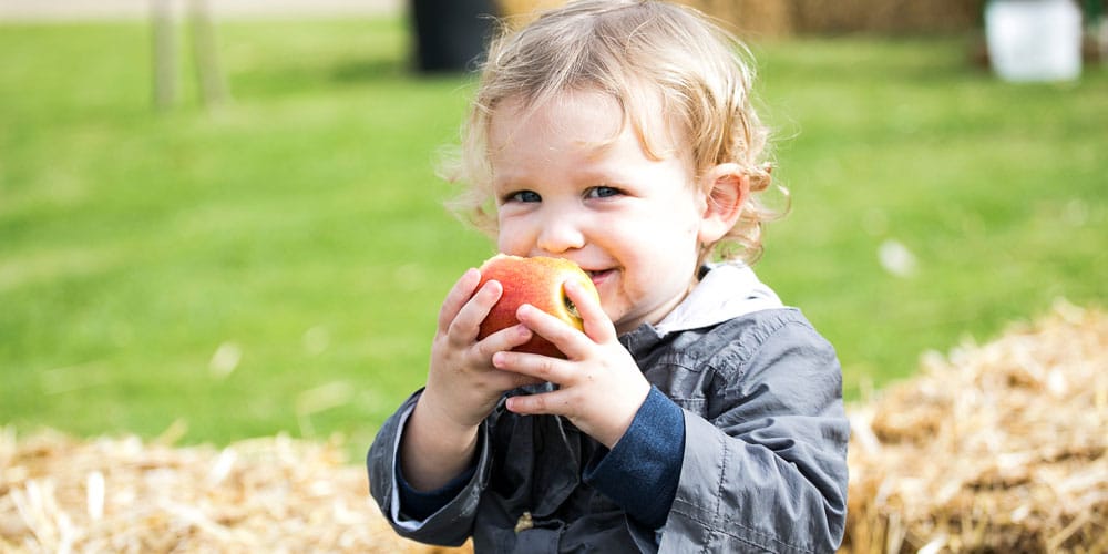 apple-festival-Copyright-English-Heritage