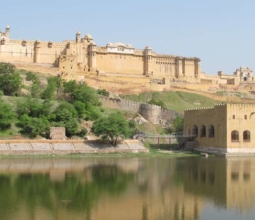 Amber-Fort-(530983)
