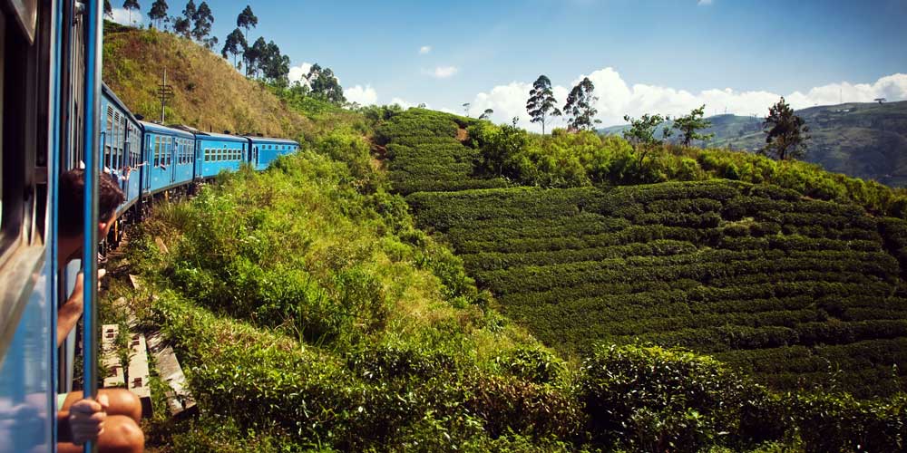 scenic-train-journey