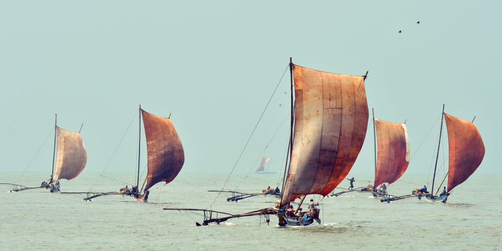 traditional-fishing-canoes-negombo-sri-lanka