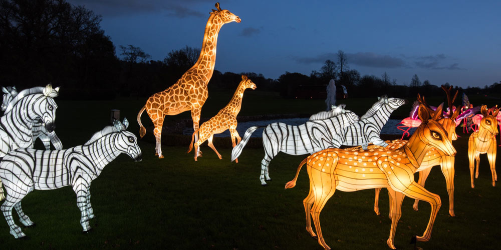 longleat-festival-of-light-christmas