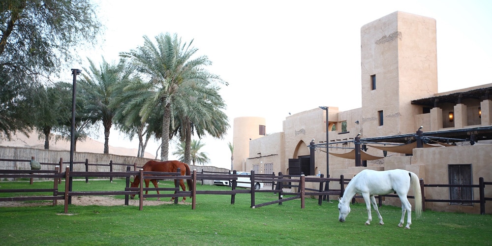 Al-Sahra-Desert-Resort-Horses-dubai