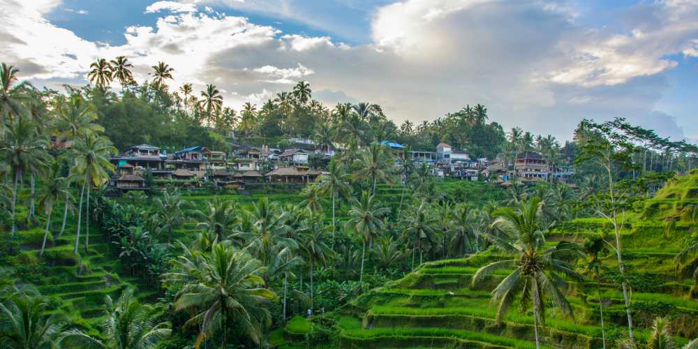 terraced-fields-and-balinese-village-ubud