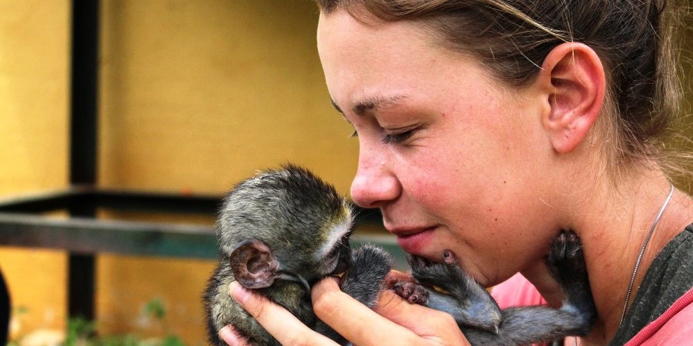 Volunteer-monkey-south-africa-responsible-travel