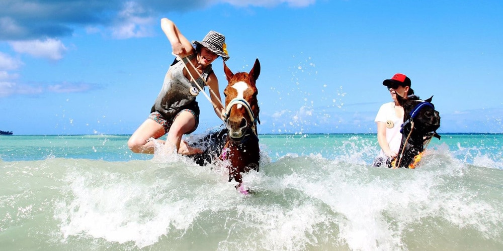 being-with-horses-tobago