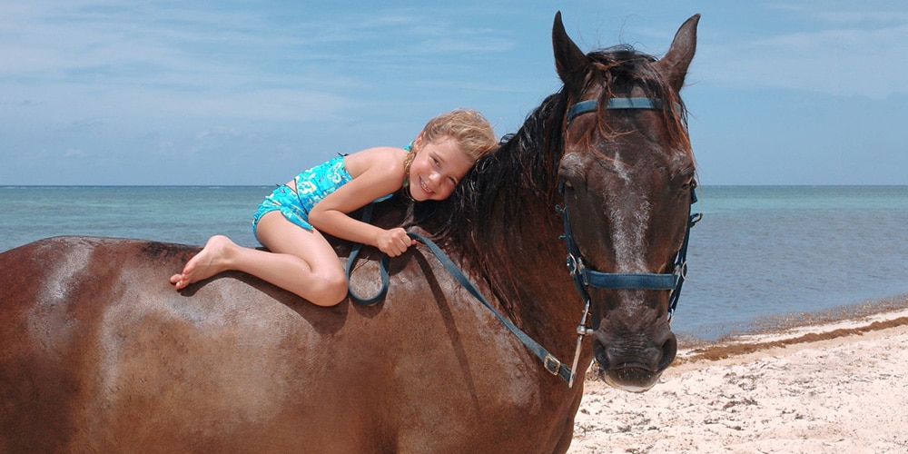 pampered-ponies-grand-cayman