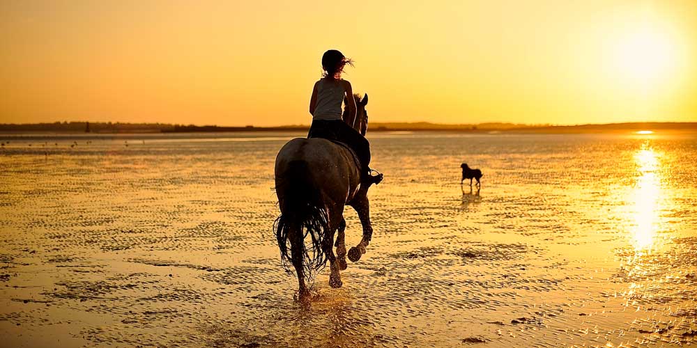 horse-riding discover Costa Rica