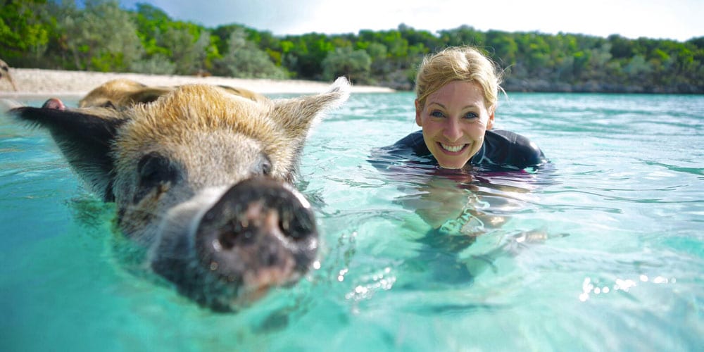 Naomi Wilkinson with pig, thrilling island adventures
