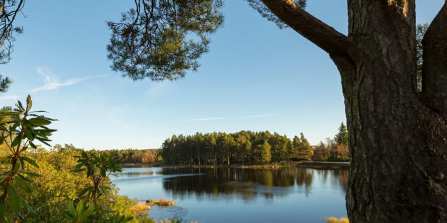 Cragside 10 National Trust family days out worth a road trip with kids