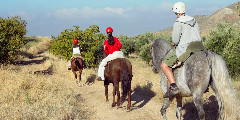 family holiday activities horseriding