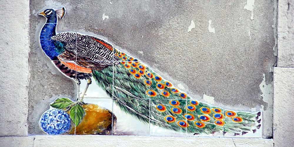 peacock-mural-urban-street-art-portugal