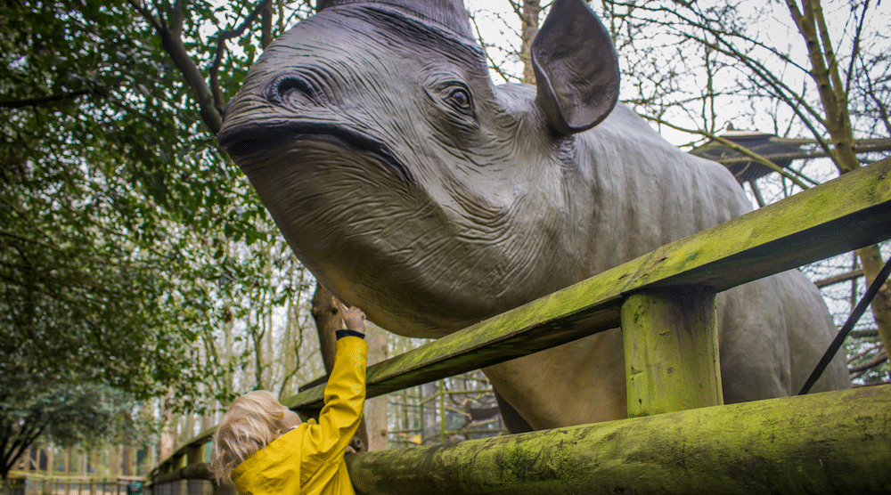 kid touching rhino things to do in May with kids