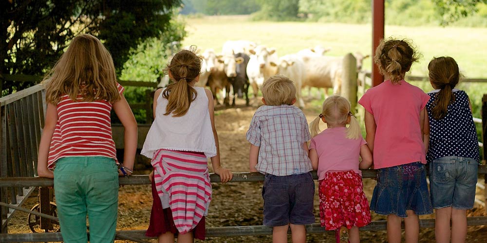 kids at the farm - things to do in June