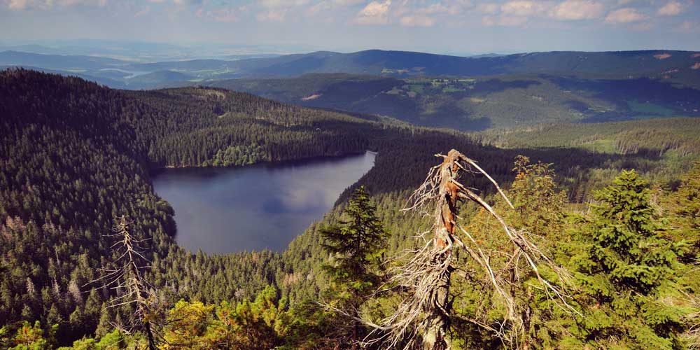 Sumava-National-Park-Czech-Republic