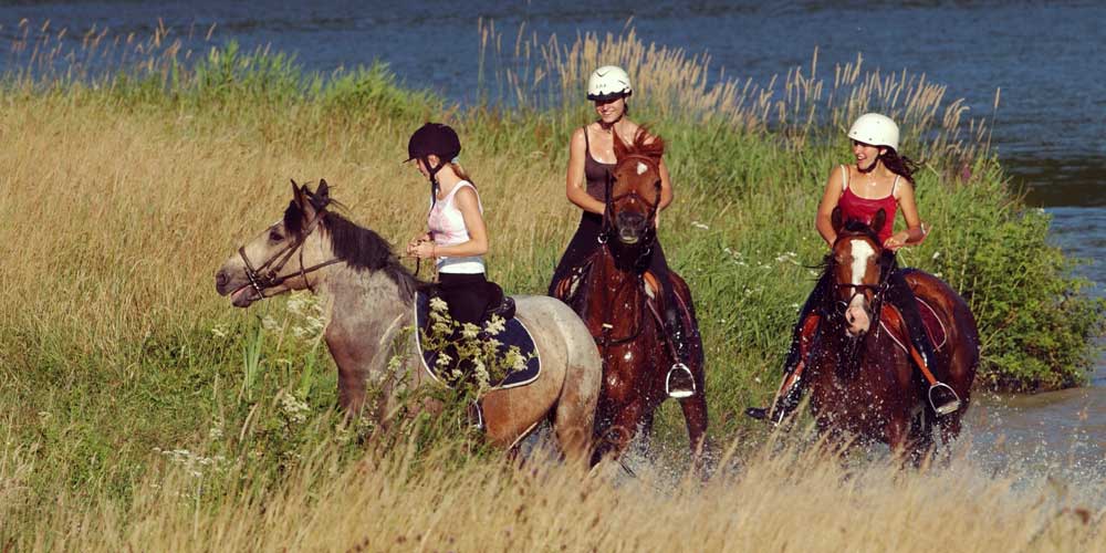 horseriding french family holiday