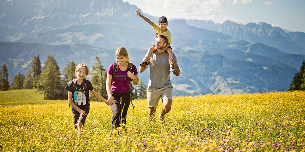 flower-filled-alpine-meadow-austria