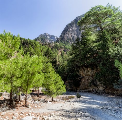 Samaria Gorge, Chania, Crete