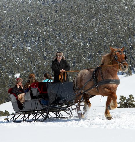 Horse riding on the snow, Baqueira Beret
