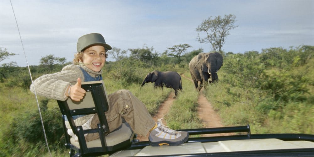best family holiday destinations for 2019, Girl watches elephants on safari, South Africa