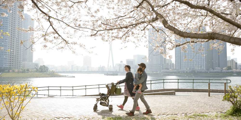 Best family holiday destinations, Japanese couple stroll through park, cherry blossom