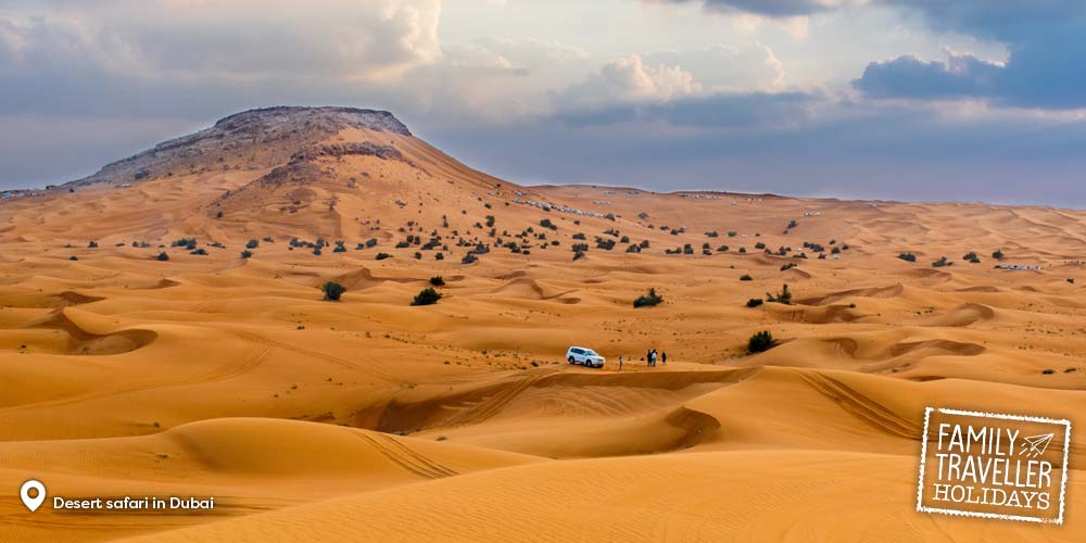 Dubai activities in the desert