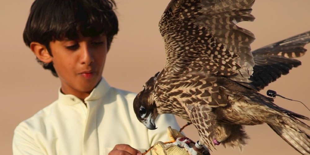 young-boy-with-falcon-abu-dhabi-holiday