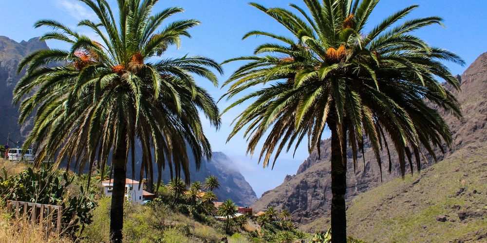 the-masca-valley-tenerife