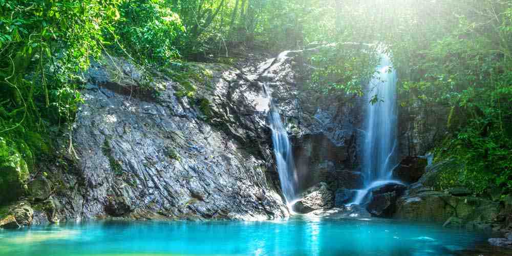 wild swimming