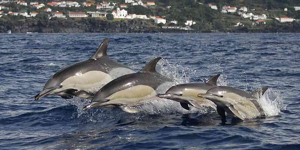 Madeira family holidays