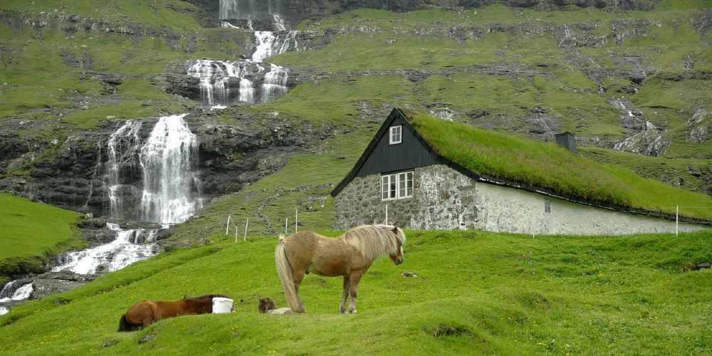 Faroe Islands: 5 great reasons to visit with kids this summer