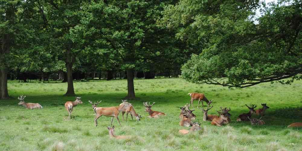 15 amazing UK family activities for kids of all ages this August