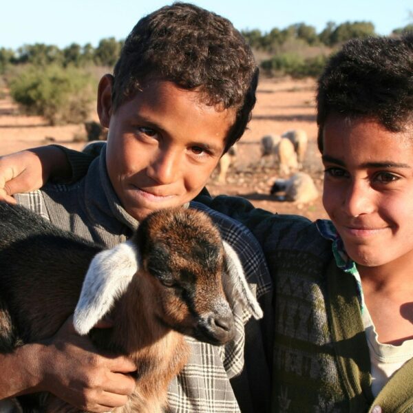 morocco-with-kids-and-goat
