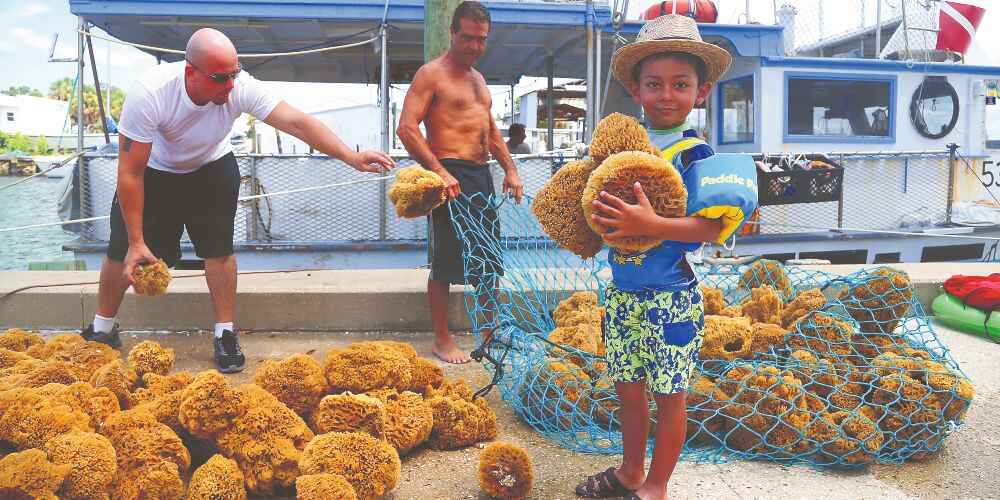 St Pete and Clearwater Florida Sponge Docks with kids Tarpon Springs