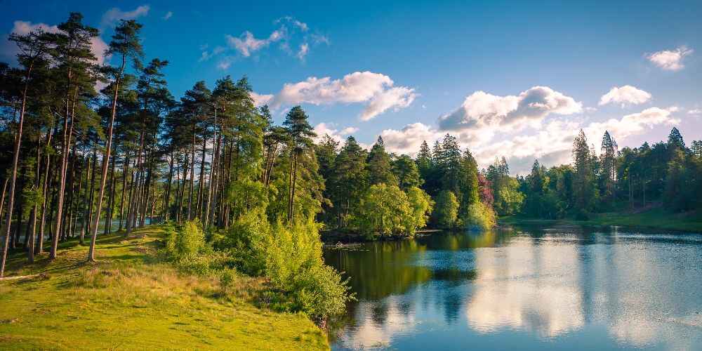 multi gen family road trip summer day at Tarn Hows Lake District