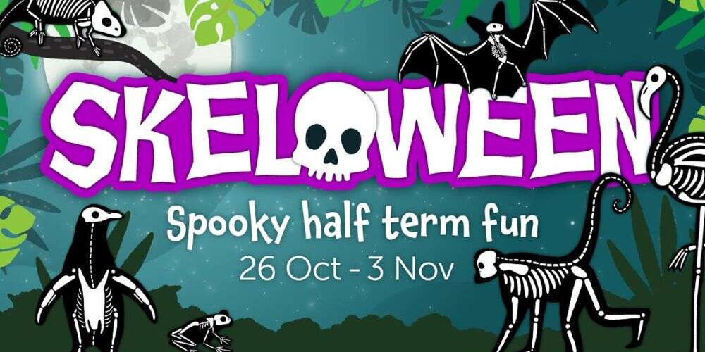 Skelloween Bristol Zoo and Gardens Halloween family activities October 2021