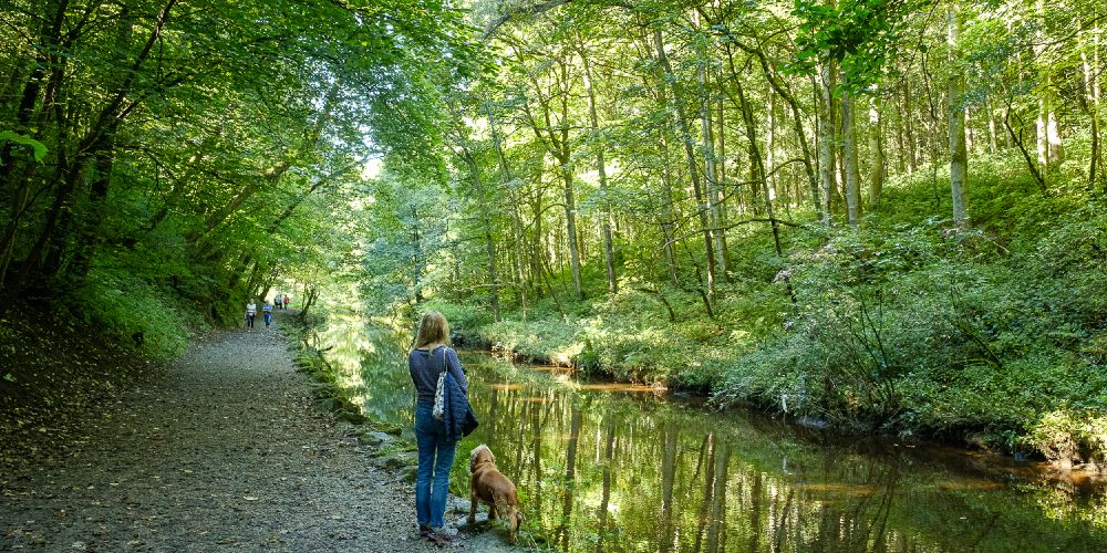 skipton castle woods Yorkshire Dales family half term break copyright Alistair Heap