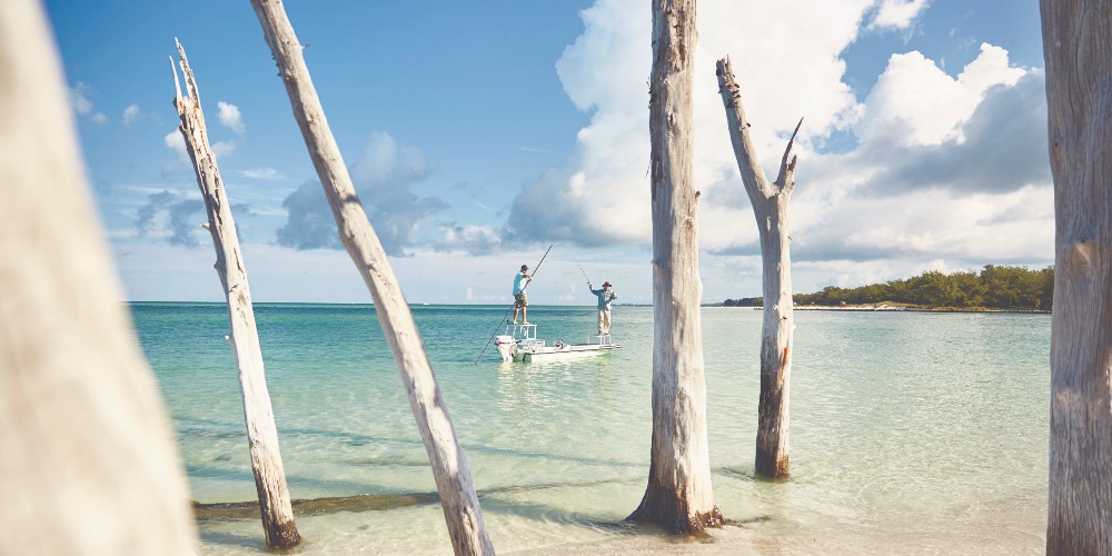 Bradenton-Area-fly-fishing-trees-Whitney-Beach-Longboat-Key-Florida