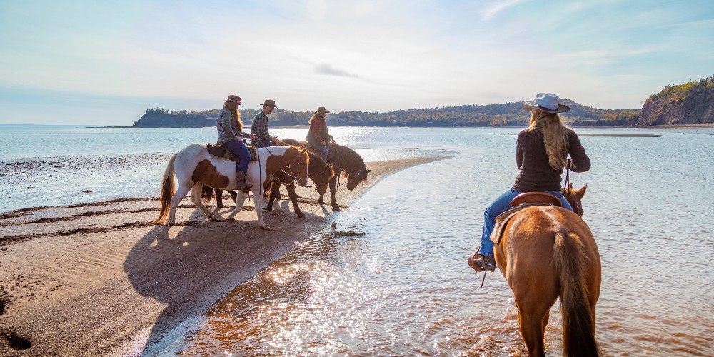 Cliffs of Fundy Global Geopark, Bay of Fundy, with Spirit Reins Ranch