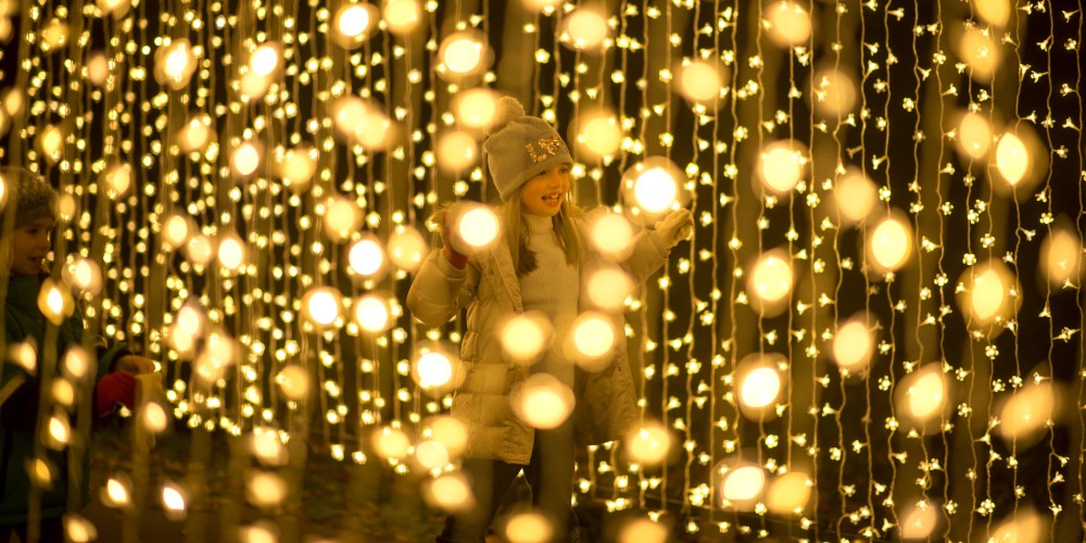 December days out Christmas 2021 Jeff Eden RBG Kew Cathedral of Light