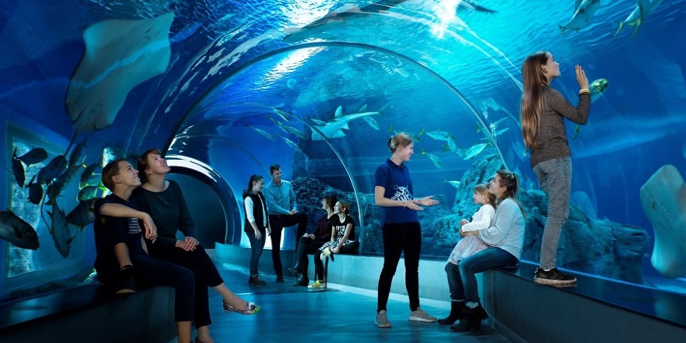 children-watching-sharks-in-shark-tunnel-den-blaa-planet-aquarium-copenhagen-denmark