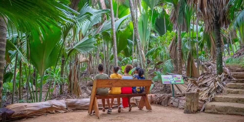 family-vallee-de-mai-praslin-island