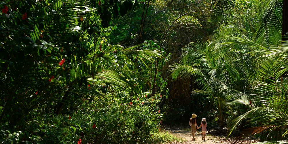 costa-rica-family-holiday-destination-girls-exploring-rainforest-jungle-in-sunshine