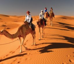 Oman-family-holidays-mother-teenagers-camel-trekking-across-orange-sand-dunes-with-bedouin-guide