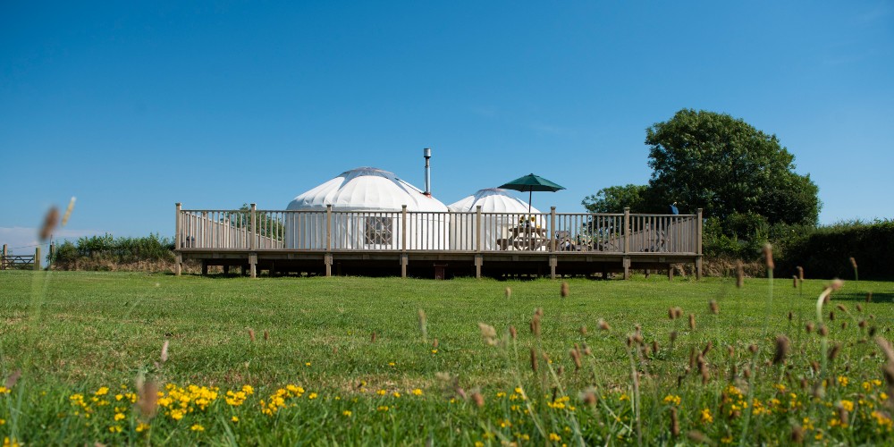 rosewood-yurt-twin-yurts-surrounded-by-meadow-on-devon-and-cornwall-border