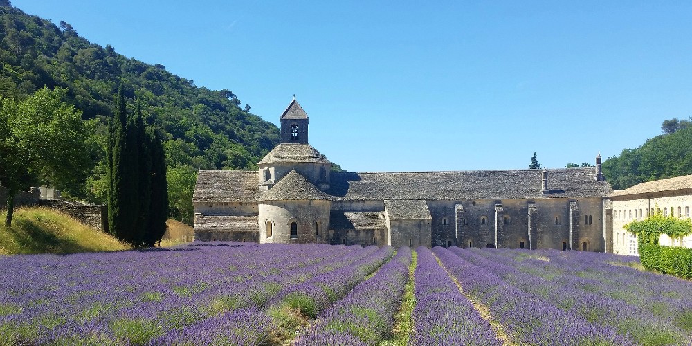 abbaye-senanque-parc-naturel-de-luberon-easter-holidays-in-provence-family-traveller-2022 