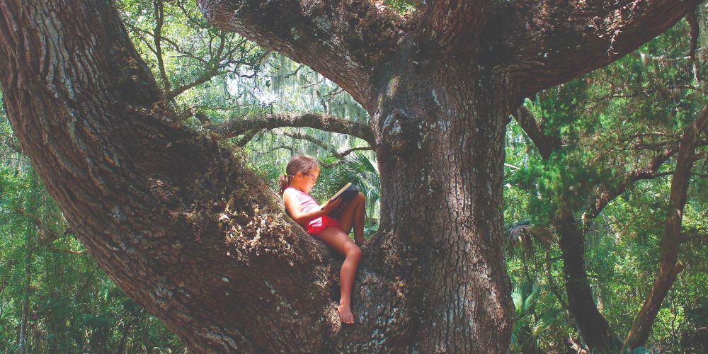 child-reading-in-a-tree-tropical-forest-amelia-island-florida-family-holidays-for-Easter-2022-Jan-Blanton