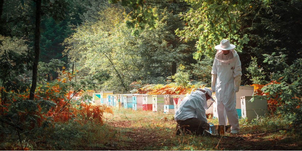adults-in-protective-gear-with-beehives-become-a-beekeeper-for-the-day-experience-on-halkidiki-family-holidays
