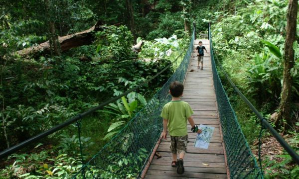 two-young-boys-on-treetop-rope-bridge-through-dense-jungle-in-borneo-family-traveller-podcast