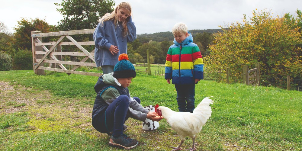 children-feeding-chickens-on-may-half-term-breaks-at-vobster-farm-somerset-2022